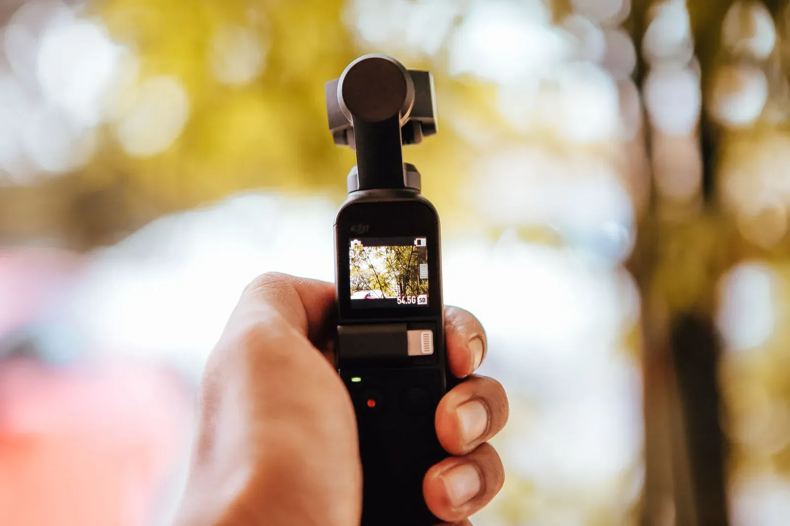 Crop anonymous male holding modern photo stabilizer for smartphone while taking photo of forest